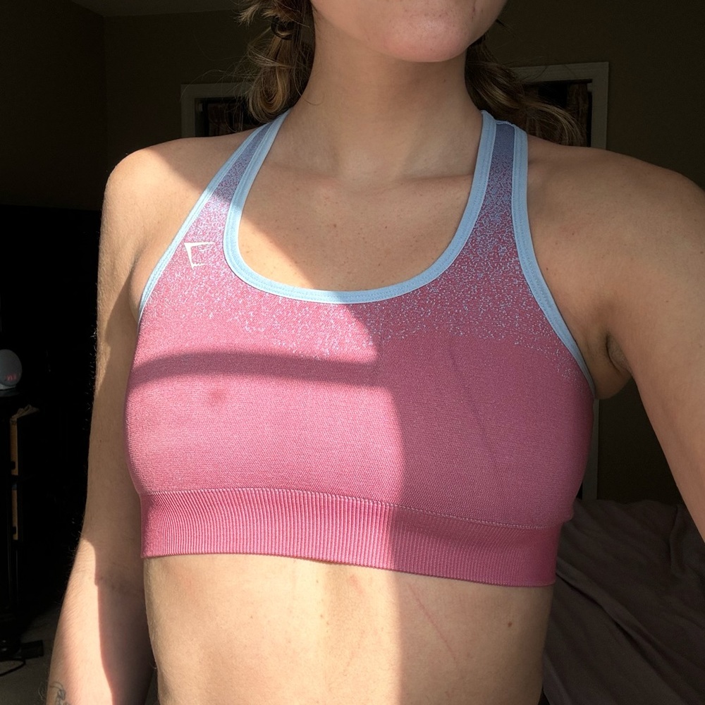 Adapt Ombre Seamless Sports Bra